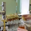 Разнорабочие на производство мёда  - Фото 1