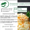 Солено-квашеная продукция - Фото 3