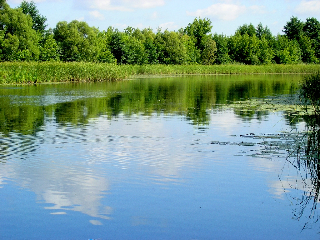 Вода мичуринск