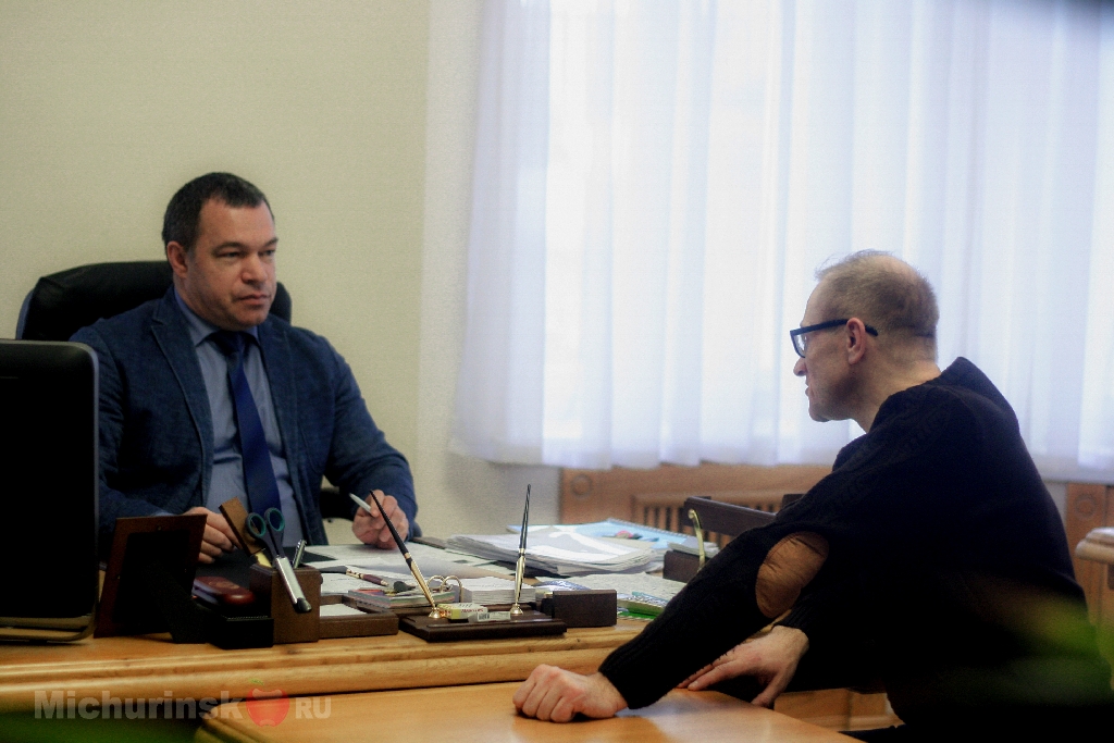 Мичуринский портал