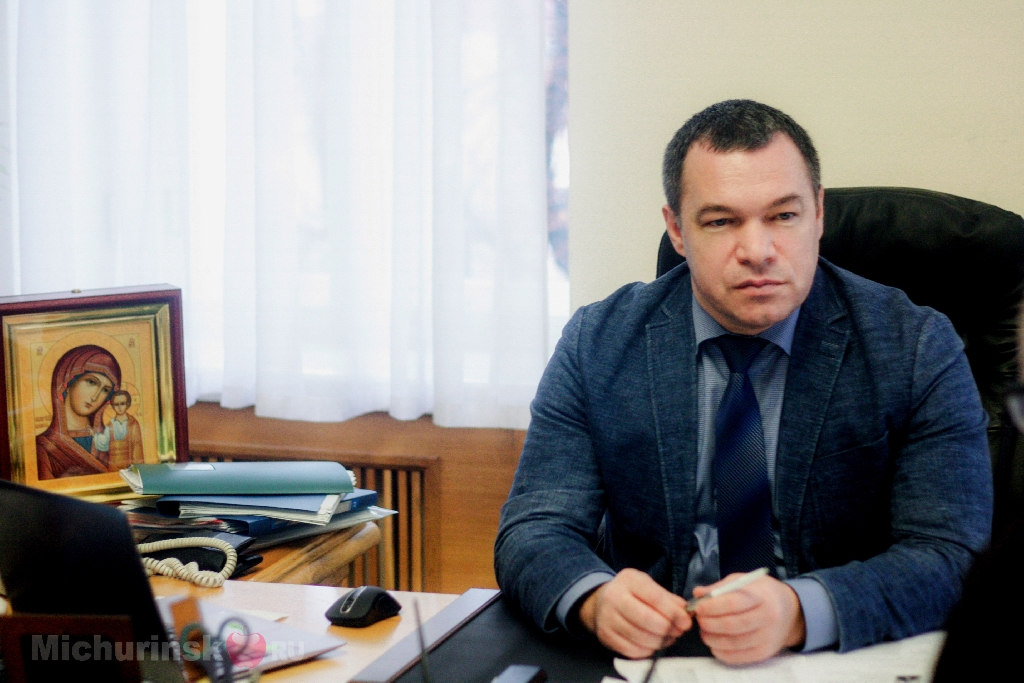 Мичуринский портал