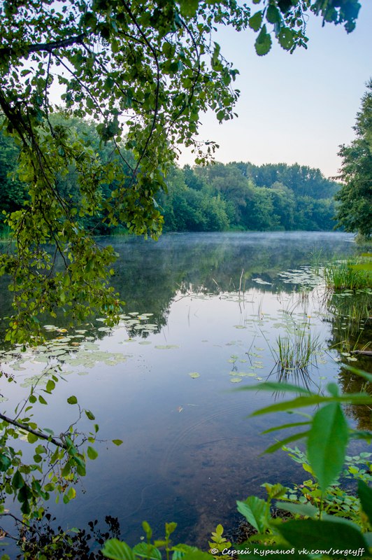 Вода мичуринск