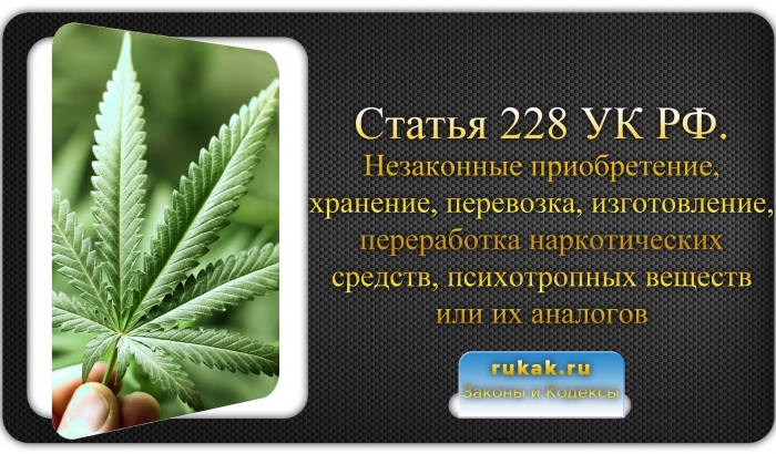 228 статья марихуана