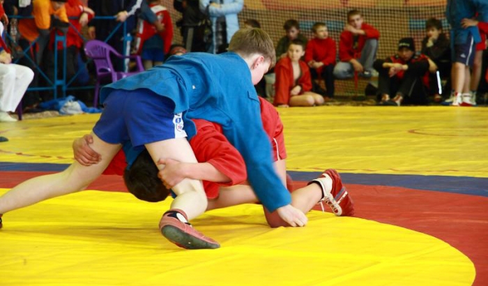 самбо прямая трансляция. самбо армения. кубок россии по самбо 2016. самбо видео. международная федерация самбо.