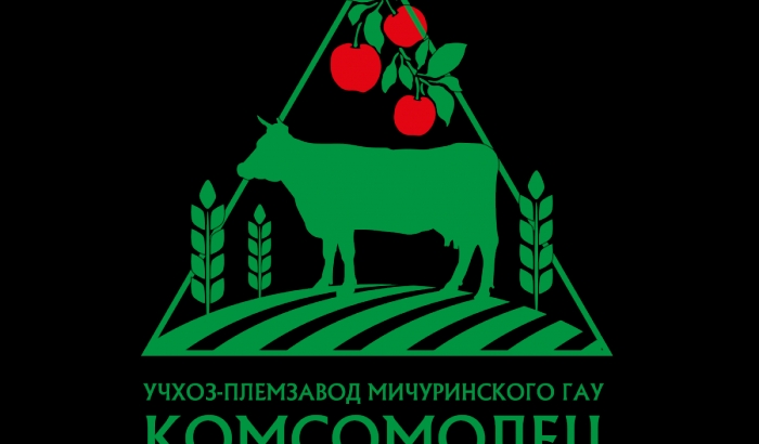 Купить Дом В Учхозе Комсомолец Мичуринск
